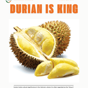 SẦU RIÊNG RI6 ĐÔNG LẠNH NGUYÊN TRÁI – CHUẨN FDA & CIQ XUẤT KHẨU – FROZEN RI6 DURIAN (WHOLE FRUIT) – FDA & CIQ EXPORT STANDARD