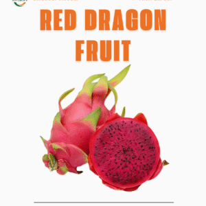 Thanh Long Ruột Đỏ – Red Dragon Fruit