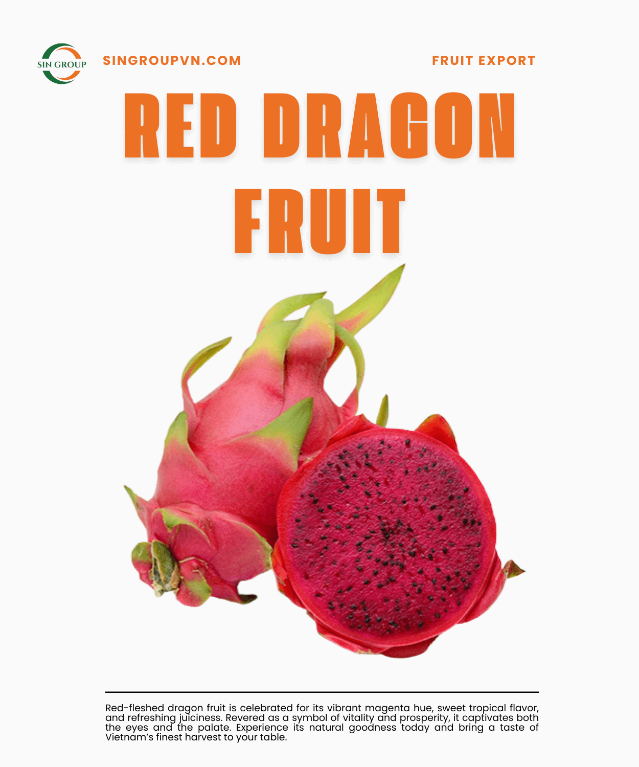 Thanh Long Ruột Đỏ – Red Dragon Fruit