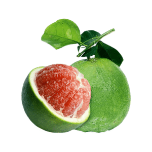 BƯỞI DA XANH – VIETNAMESE POMELO EXPORT